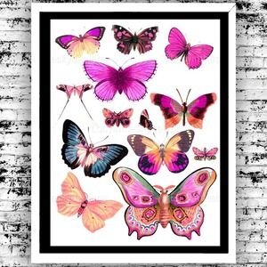 Art Print Pink Butterflies Vintage Illustration Bright Vivid Wall Decor 8.5x11